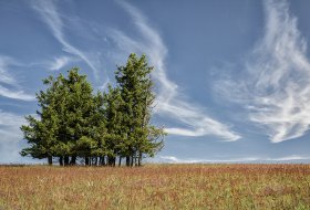 Phoca Thumb M Baeume Und Himmel 5701 2019